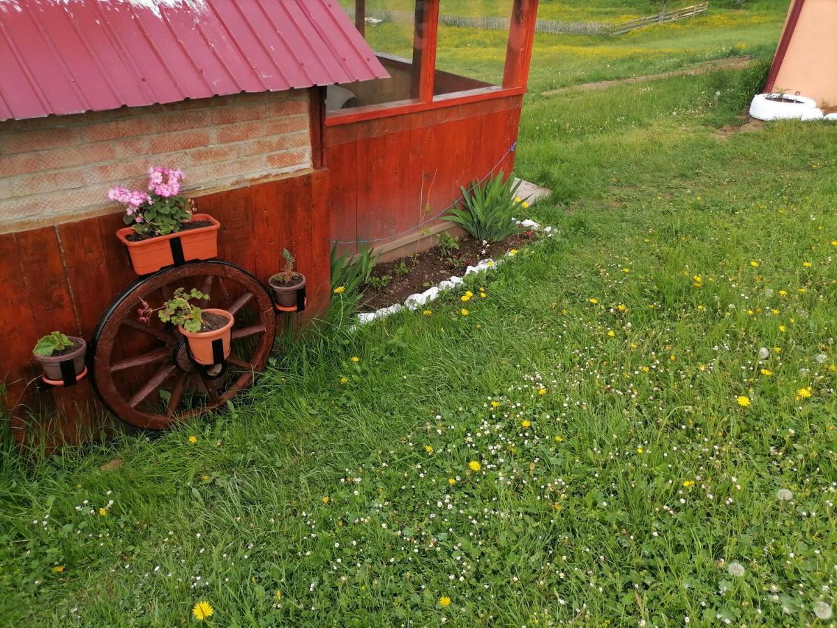 Cabana Daria Gîrda de Sus Exterior foto